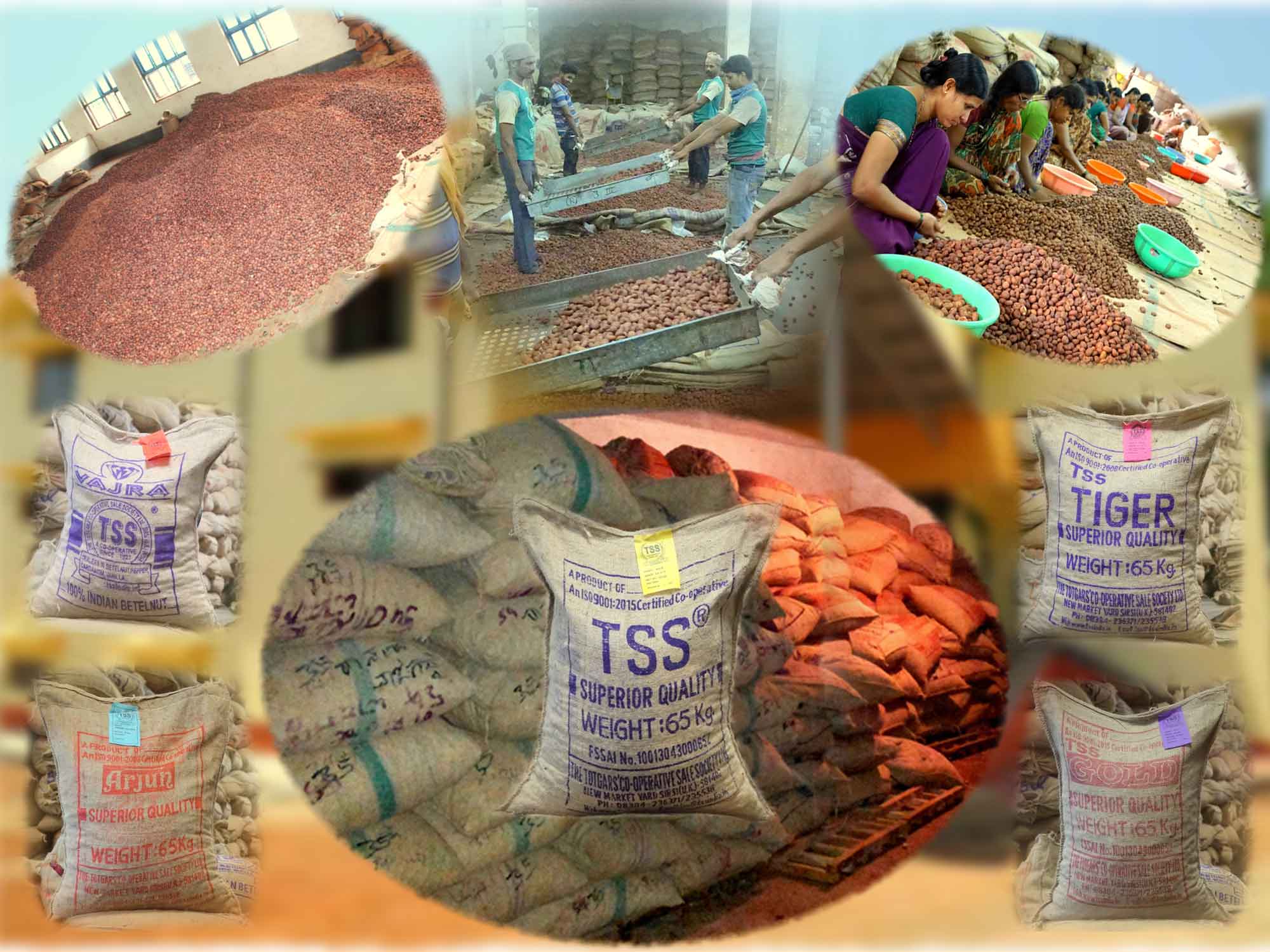 Arecanut Trading Section Overview