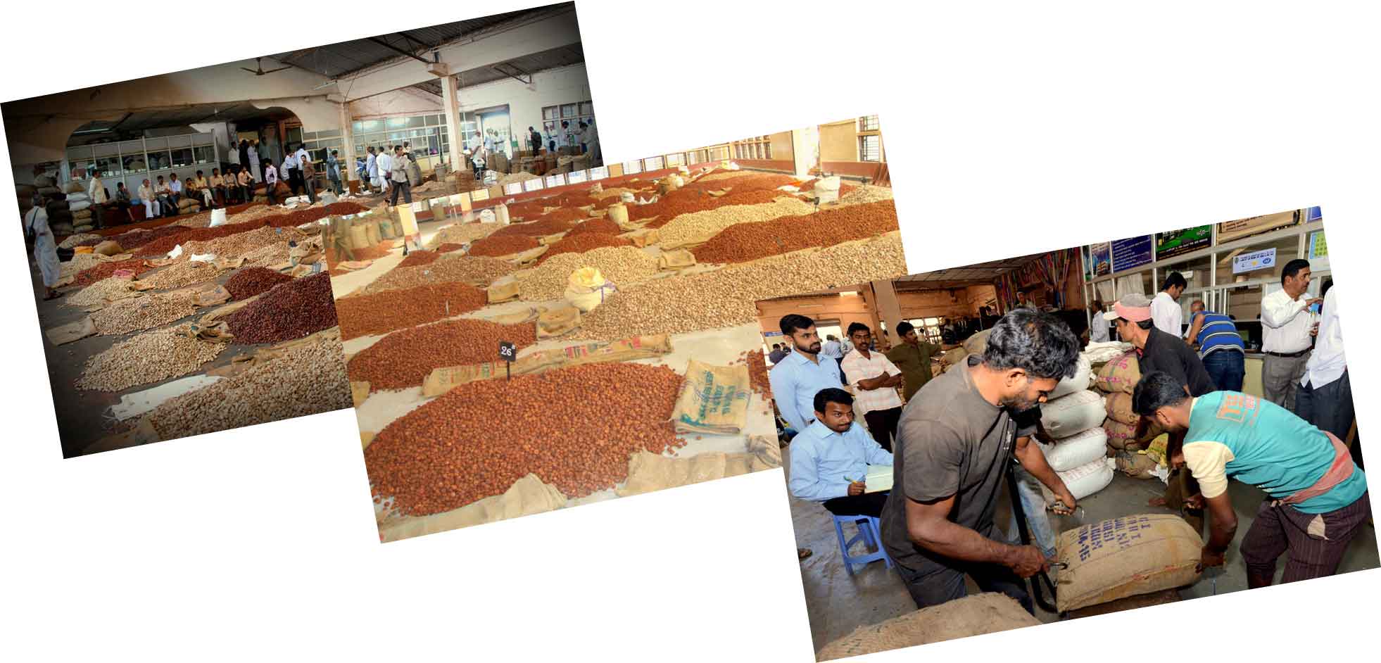 Purchase Bill Creation